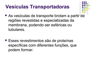 Vesículas Transportadoras
 As vesículas de transporte brotam a partir de
regiões revestidas e especializadas da
membrana, podendo ser esféricas ou
tubulares.
 Esses revestimentos são de proteínas
específicas com diferentes funções, que
podem formar:
 