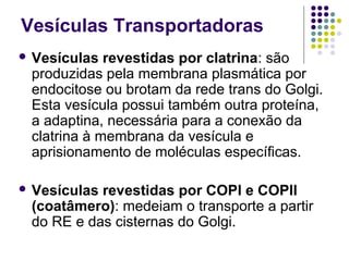 Vesículas Transportadoras
 Vesículas revestidas por clatrina: são
produzidas pela membrana plasmática por
endocitose ou brotam da rede trans do Golgi.
Esta vesícula possui também outra proteína,
a adaptina, necessária para a conexão da
clatrina à membrana da vesícula e
aprisionamento de moléculas específicas.
 Vesículas revestidas por COPI e COPII
(coatâmero): medeiam o transporte a partir
do RE e das cisternas do Golgi.
 