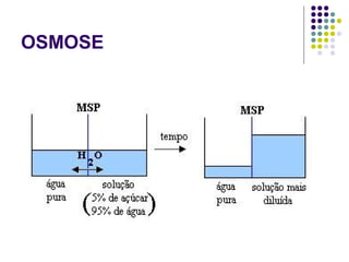 OSMOSE
 