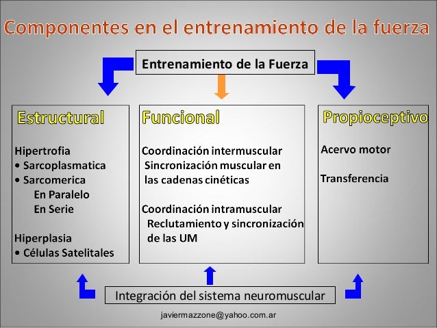 Metodos de entrenamiento de la fuerza