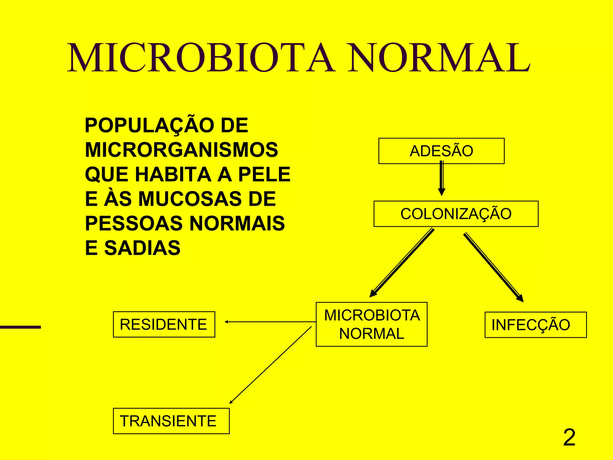 10 Microbiologia - MICROBIOTA NORMAL.ppt