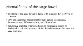 10 Microbiology of the Gastrointestinal Tract final .pptx