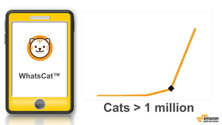 WhatsCat™
Cats > 1 million
 