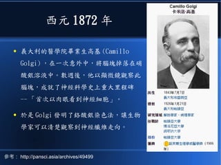 西元 1872 年
● 義大利的醫學院畢業生高基 (Camillo
Golgi) ，在一次意外中，將腦塊掉落在硝
酸銀溶液中。數週後，他以顯微鏡觀察此
腦塊，成就了神經科學史上重大里程碑
-- 「首次以肉眼看到神經細胞」。
● 於是 Golgi 發明了鉻酸銀染色法，讓生物
學家可以清楚觀察到神經纖維走向。
參考： http://pansci.asia/archives/49499
 