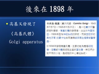 後來在 1898 年
● 高基又發現了
《高基氏體》
Golgi apparatus
 