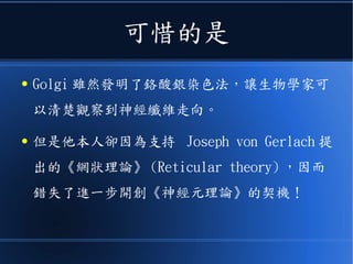 可惜的是
● Golgi 雖然發明了鉻酸銀染色法，讓生物學家可
以清楚觀察到神經纖維走向。
● 但是他本人卻因為支持 Joseph von Gerlach 提
出的《網狀理論》 (Reticular theory) ，因而
錯失了進一步開創《神經元理論》的契機！
 