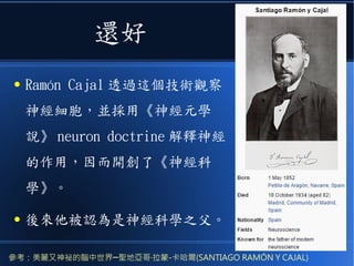 還好
● Ramón Cajal 透過這個技術觀察
神經細胞，並採用《神經元學
說》 neuron doctrine 解釋神經
的作用，因而開創了《神經科
學》。
● 後來他被認為是神經科學之父。
參考：美麗又神祕的腦中世界─聖地亞哥·拉蒙-卡哈爾(SANTIAGO RAMÓN Y CAJAL)
 