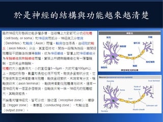 於是神經的結構與功能越來越清楚
 