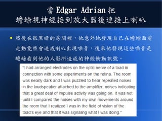 當 Edgar Adrian 把
蟾蜍視神經接到放大器後連接上喇叭
● 然後在很黑暗的房間裡，他意外地發現自己在蟾蜍面前
走動竟然會造成喇叭出現噪音，後來他發現這些噪音是
蟾蜍看到他的人影所造成的神經衝動訊號。
 