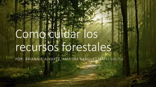 Como cuidar los
recursos forestales
POR: BRIANNIE ALVAREZ, MARTHA BARQUET,MAYLI SIG-TU
 