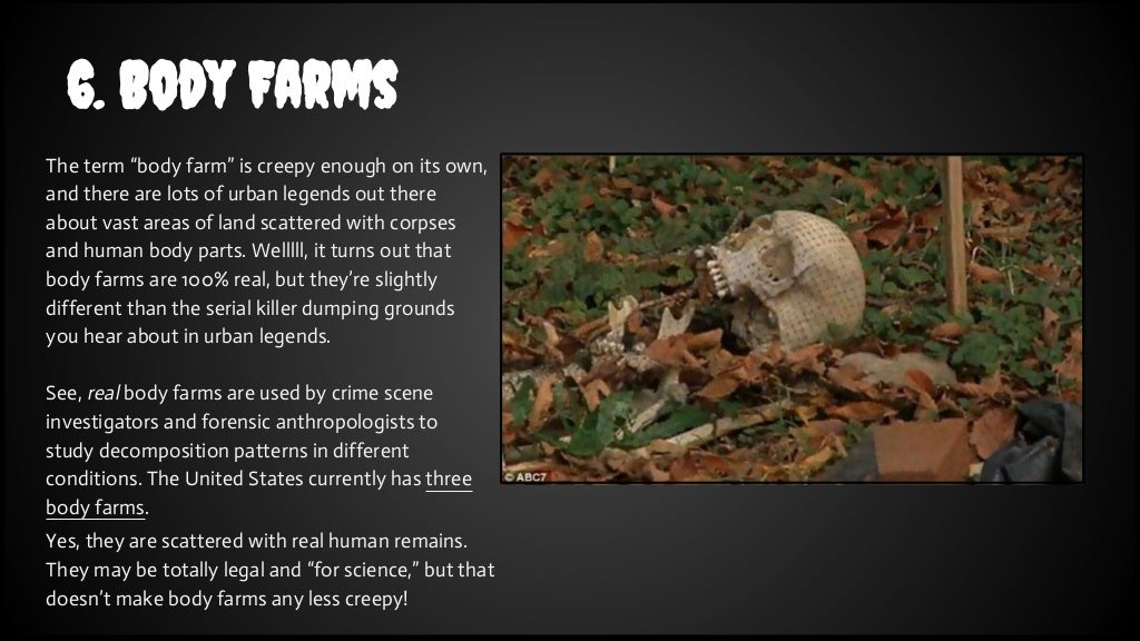 body farm essay