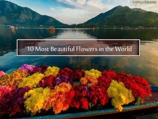10 Most Beautiful Flowers inthe World
 