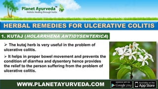 Top 10 Most Effective Herbs To Cure Ulcerative Colitis Naturally | PPTX