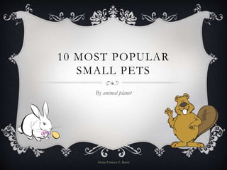 10 MOST POPULAR
SMALL PETS
By animal planet
Alexia Frances Z. Baruc
 