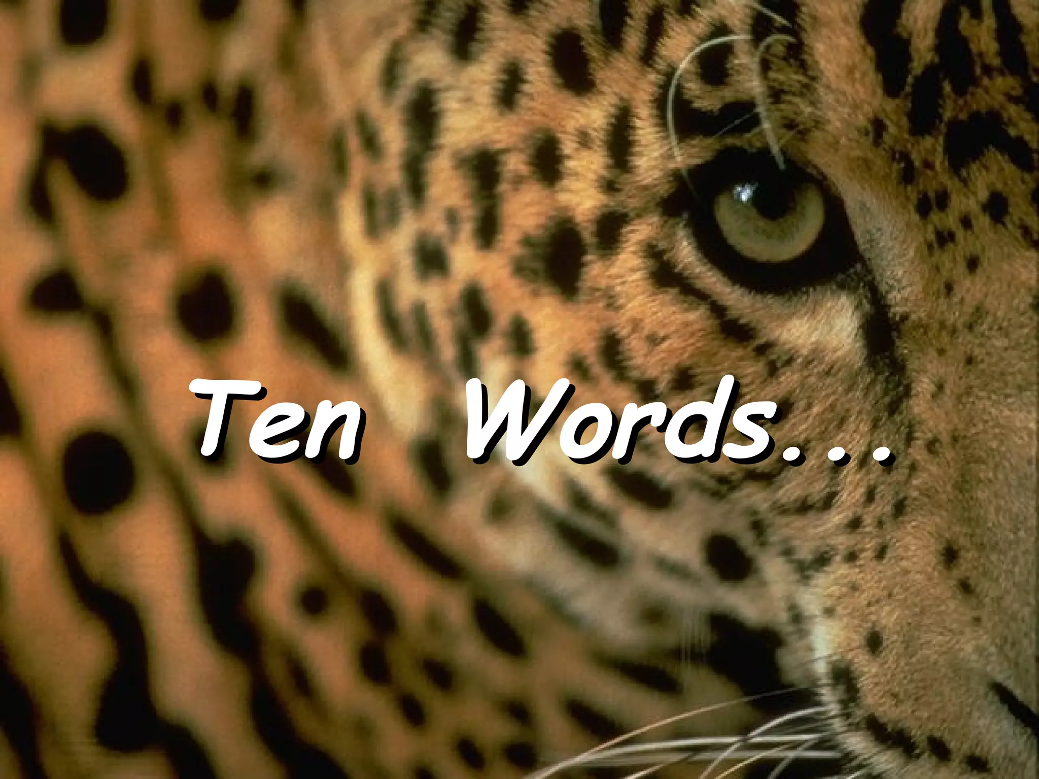 Ten Words...