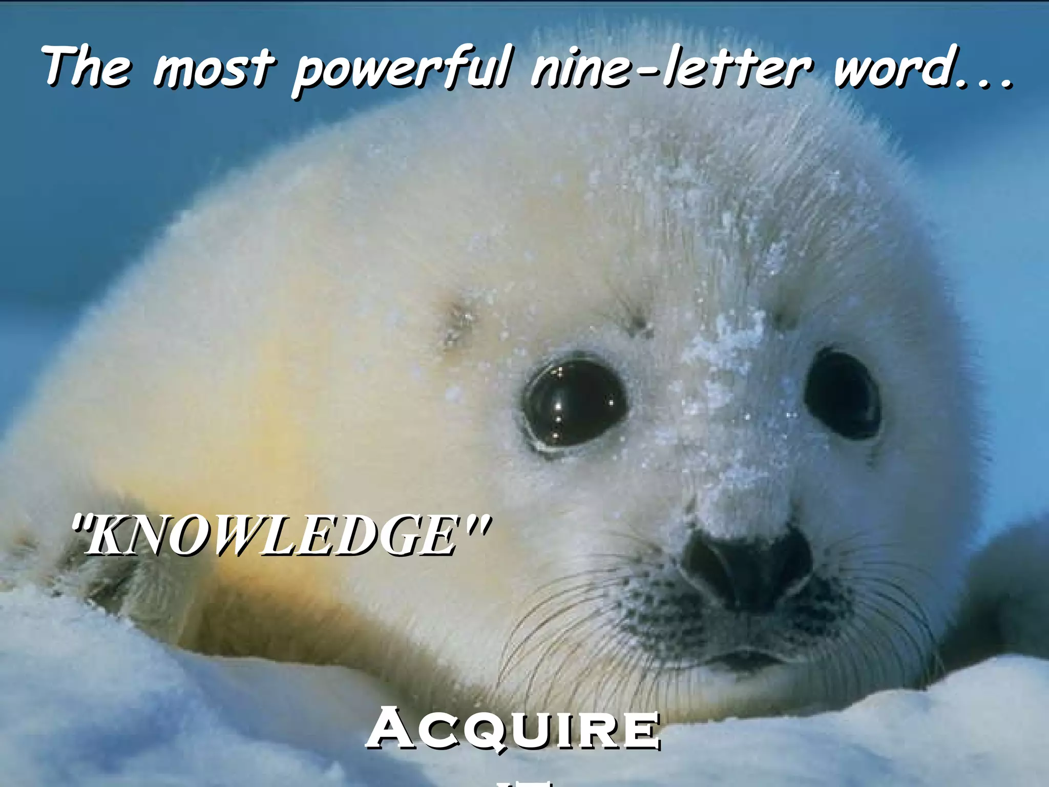 The most powerful nine-letter word... " KNOWLEDGE" Acquire it