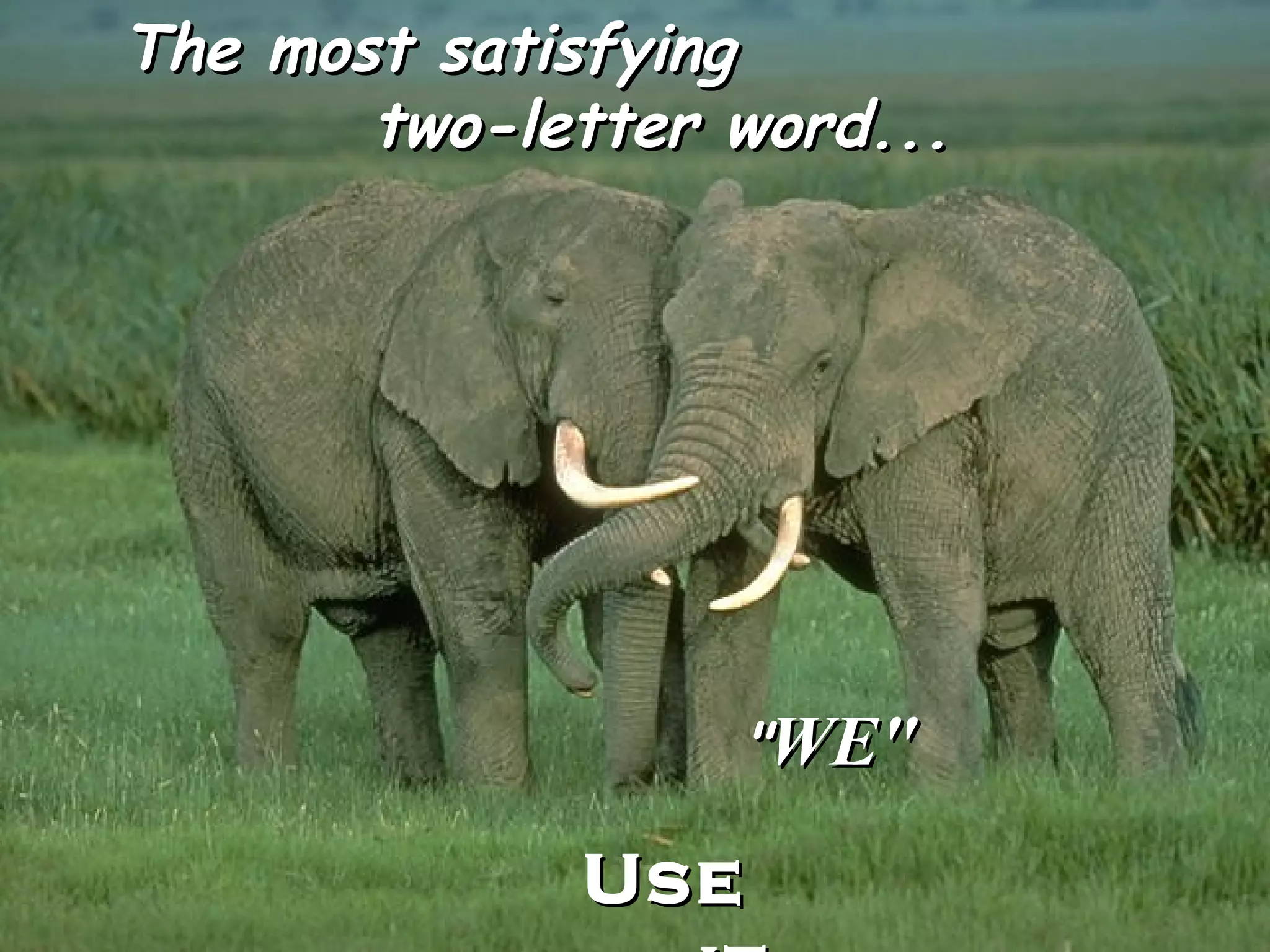 The most satisfying two-letter word... " WE" Use it