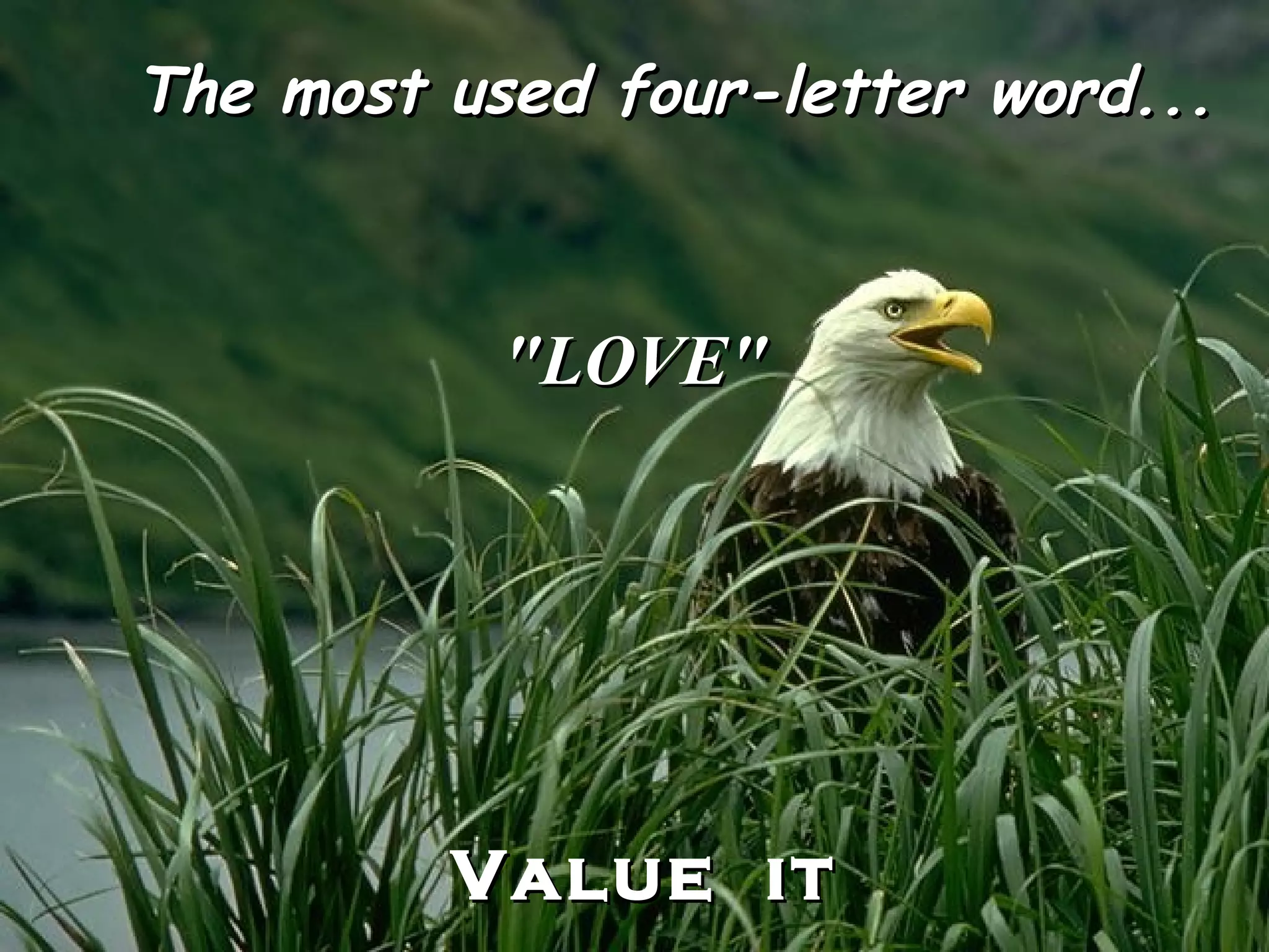 The most used four-letter word... "LOVE" Value it