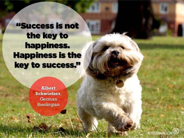 10 Motivational And Leadership Quotes Presented By Dogs