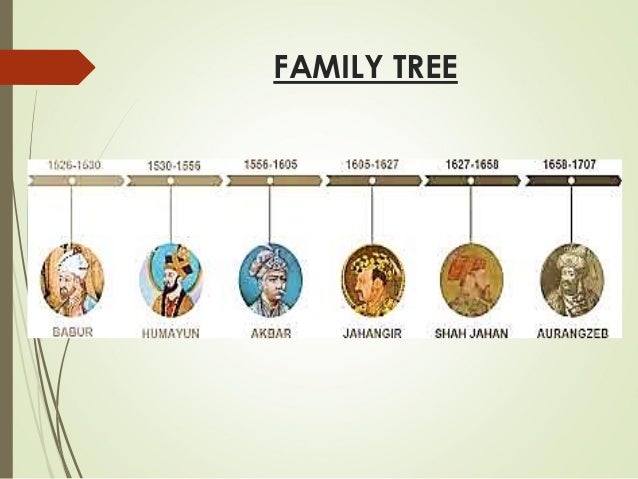 Manuscript Family - Quinta Essentia Manuscript Family - Quinta Essentia
