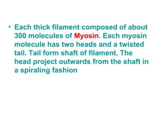 • Each thick filament composed of about
300 molecules of Myosin. Each myosin
molecule has two heads and a twisted
tail. Tail form shaft of filament. The
head project outwards from the shaft in
a spiraling fashion
 