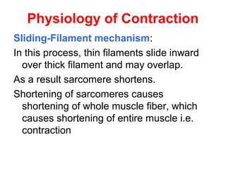 Physiology of Contraction
Sliding-Filament mechanism:
In this process, thin filaments slide inward
over thick filament and may overlap.
As a result sarcomere shortens.
Shortening of sarcomeres causes
shortening of whole muscle fiber, which
causes shortening of entire muscle i.e.
contraction
 