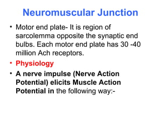 Neuromuscular Junction
• Motor end plate- It is region of
sarcolemma opposite the synaptic end
bulbs. Each motor end plate has 30 -40
million Ach receptors.
• Physiology
• A nerve impulse (Nerve Action
Potential) elicits Muscle Action
Potential in the following way:-
 