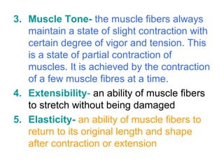 3. Muscle Tone- the muscle fibers always
maintain a state of slight contraction with
certain degree of vigor and tension. This
is a state of partial contraction of
muscles. It is achieved by the contraction
of a few muscle fibres at a time.
4. Extensibility- an ability of muscle fibers
to stretch without being damaged
5. Elasticity- an ability of muscle fibers to
return to its original length and shape
after contraction or extension
 