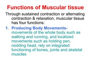 Functions of Muscular tissue
Through sustained contraction or alternating
contraction & relaxation, muscular tissue
has four functions:
1. Producing Body Movements-
movements of the whole body such as
walking and running, and localized
movements such as holding pen,
nodding head, rely on integrated
functioning of bones, joints and skeletal
muscles
 