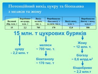 Потенційний вихід цукру та біопалива
з меляси та жому
15 млн. т цукрових буряків
меляси
~ 705 тис. т.
біоетанолу
~ 170 тис. т
цукру
~ 2,2 млн. т
Валовий
збір, млн. т
Виробницт
во цукру,
млн. т
Вихід
меляси,
тис. т.
Виробництво
біоетанолу з
меляси, тис.т.
Вихід жому,
млн. т.
Виробництво
біогазу з жому,
млн.м3
15 2,2 705 170 12,0 588
Жому
~ 12 млн. т.
біогазу
~ 0,6 млрд.м3
біодобриво
~ 2,2 млн.т
 