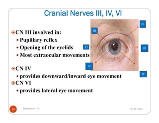 10 Neurology.pdf