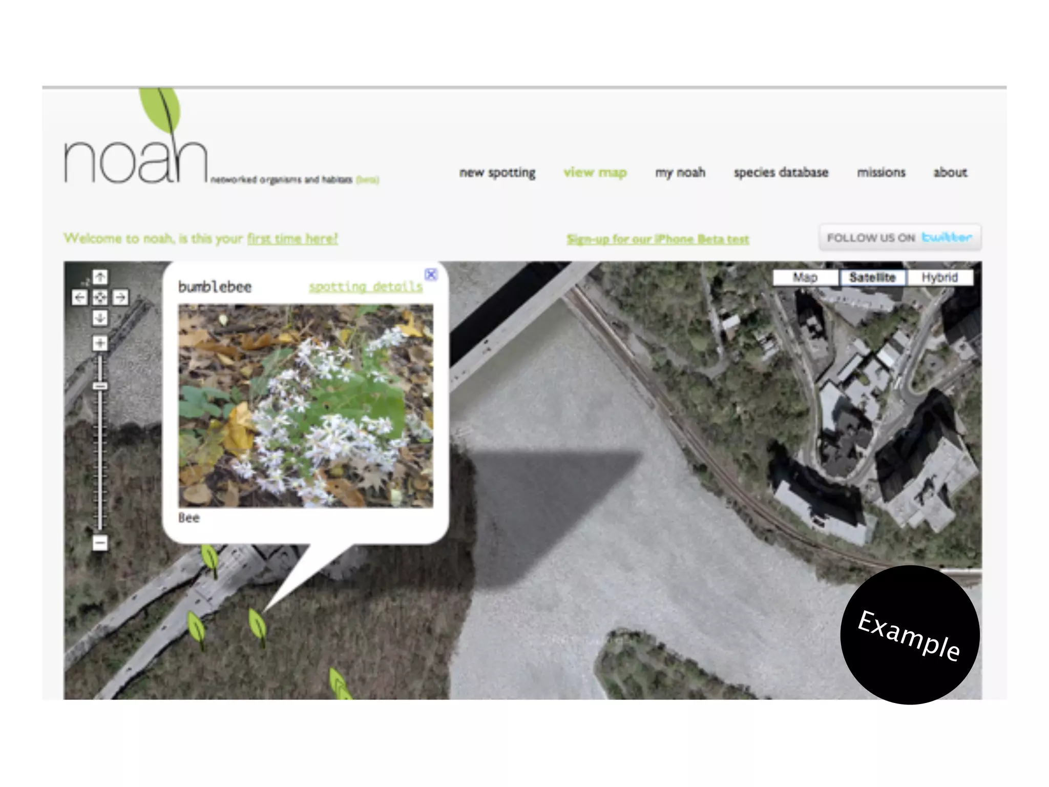 Exa
      mp
         le
 