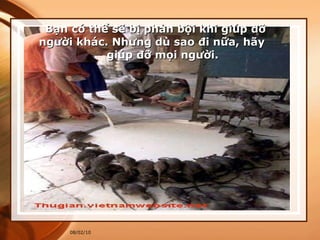 Bạn có thể sẽ bị phản bội khi giúp đỡ  người khác. Nhưng dù sao đi nữa, hãy  giúp đỡ mọi người. 