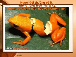 Người đời thường vô lý,  không &quot;biết điều&quot; và vị kỷ. Nhưng dù sao đi nữa, hãy yêu thương họ.  