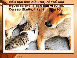 Nếu bạn làm điều tốt, có thể mọi người sẽ cho là bạn làm vì tư lợi. Dù sao đi nữa, hãy làm điều tốt. 