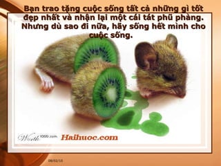 Bạn trao tặng cuộc sống tất cả những gì tốt đẹp nhất và nhận lại một cái tát phũ phàng. Nhưng dù sao đi nữa, hãy sống hết mình cho cuộc sống.   