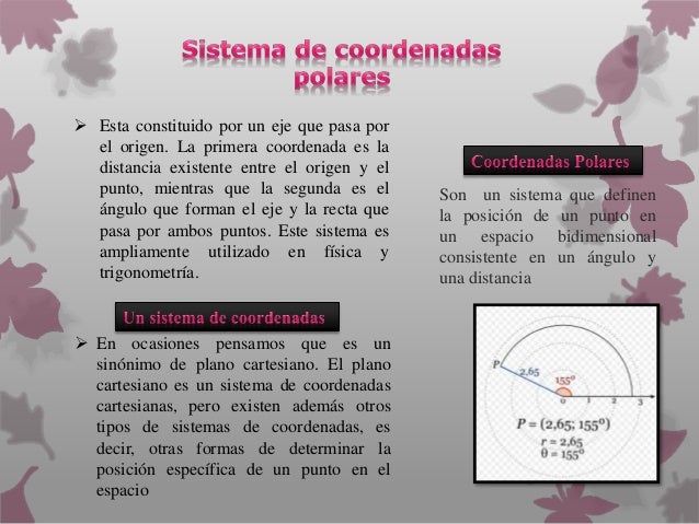 Sinonimo de coordenada