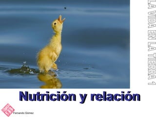 Fernando Gómez LA VIDA EN LA TIERRA 1 Nutrición y relación Nutrición y relación 