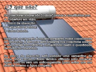 Os colectores solares térmicos