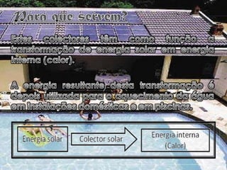 O que são?Os colectores solares são “caixas” planas e constituídas por: Cobertura em vidro; 