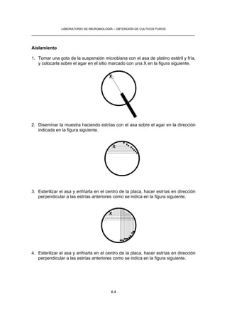 LABORATORIO DE MICROBIOLOGÍA – OBTENCIÓN DE CULTIVOS PUROS
__________________________________________________________________


Aislamiento

1. Tomar una gota de la suspensión microbiana con el asa de platino estéril y fría,
   y colocarla sobre el agar en el sitio marcado con una X en la figura siguiente.

                                         X




2. Diseminar la muestra haciendo estrías con el asa sobre el agar en la dirección
   indicada en la figura siguiente.


                                             X




3. Esterilizar el asa y enfriarla en el centro de la placa, hacer estrías en dirección
   perpendicular a las estrías anteriores como se indica en la figura siguiente.


                                         X




4. Esterilizar el asa y enfriarla en el centro de la placa, hacer estrías en dirección
   perpendicular a las estrías anteriores como se indica en la figura siguiente.




                                          4.4
 