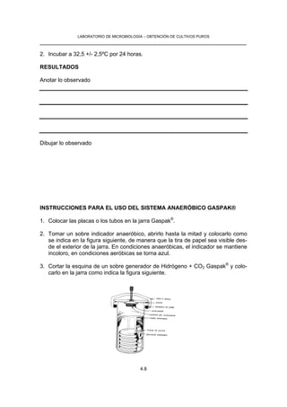 LABORATORIO DE MICROBIOLOGÍA – OBTENCIÓN DE CULTIVOS PUROS
__________________________________________________________________

2. Incubar a 32,5 +/- 2,5ºC por 24 horas.

RESULTADOS

Anotar lo observado




Dibujar lo observado




INSTRUCCIONES PARA EL USO DEL SISTEMA ANAERÓBICO GASPAK®

1. Colocar las placas o los tubos en la jarra Gaspak®.

2. Tomar un sobre indicador anaeróbico, abrirlo hasta la mitad y colocarlo como
   se indica en la figura siguiente, de manera que la tira de papel sea visible des-
   de el exterior de la jarra. En condiciones anaeróbicas, el indicador se mantiene
   incoloro, en condiciones aeróbicas se torna azul.

3. Cortar la esquina de un sobre generador de Hidrógeno + CO2 Gaspak® y colo-
   carlo en la jarra como indica la figura siguiente.




                                          4.8
 