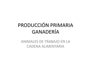 PRODUCCIÓN PRIMARIA
GANADERÍA
ANIMALES DE TRABAJO EN LA
CADENA ALIMENTARIA
 