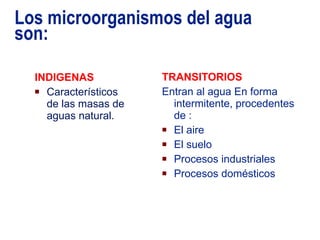 Los microorganismos del agua son: INDIGENAS Característicos de las masas de aguas natural. TRANSITORIOS Entran al agua En forma intermitente, procedentes de : El aire El suelo Procesos industriales Procesos domésticos 11/19/09 