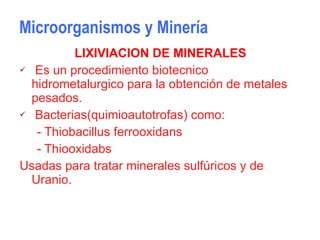 Microorganismos y Minería LIXIVIACION DE MINERALES Es un procedimiento biotecnico hidrometalurgico para la obtención de metales  pesados.  Bacterias(quimioautotrofas) como: - Thiobacillus ferrooxidans - Thiooxidabs Usadas para tratar minerales sulfúricos y de Uranio. 
