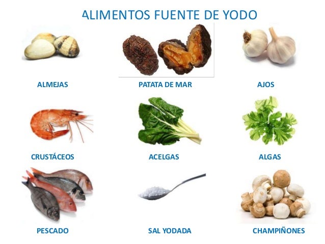 alimentos ricos en yodo para hipotiroidismo 10 por su composici 243 n alimentos ricos en yodo para hipotiroidismo 10 por su composici 243 n