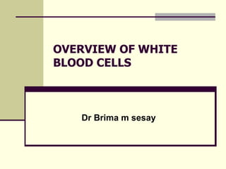 OVERVIEW OF WHITE
BLOOD CELLS
Dr Brima m sesay
 