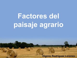 Factores del
paisaje agrario



        Higinio Rodríguez Lorenzo
 