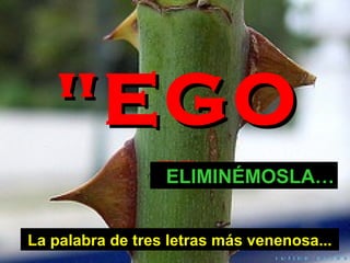 La palabra de tres letras más venenosa... "EGO" ELIMIN É MOSLA…
