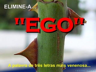 A palavra de três letras mais venenosa... "EGO" ELIMINE-A… 